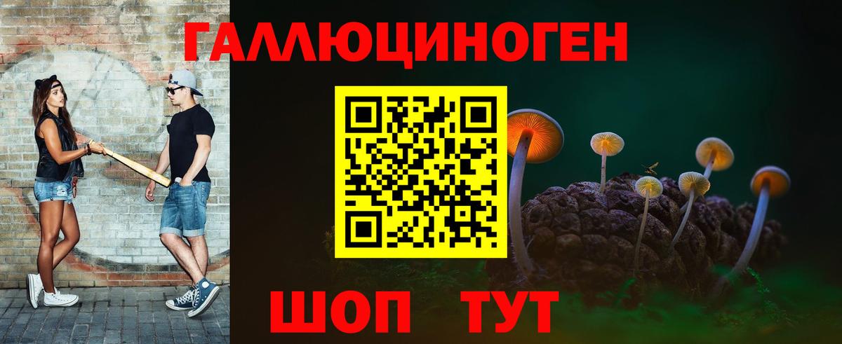 Осинники  Псилоцибиновые грибы прущие грибы  Вход с VPN 